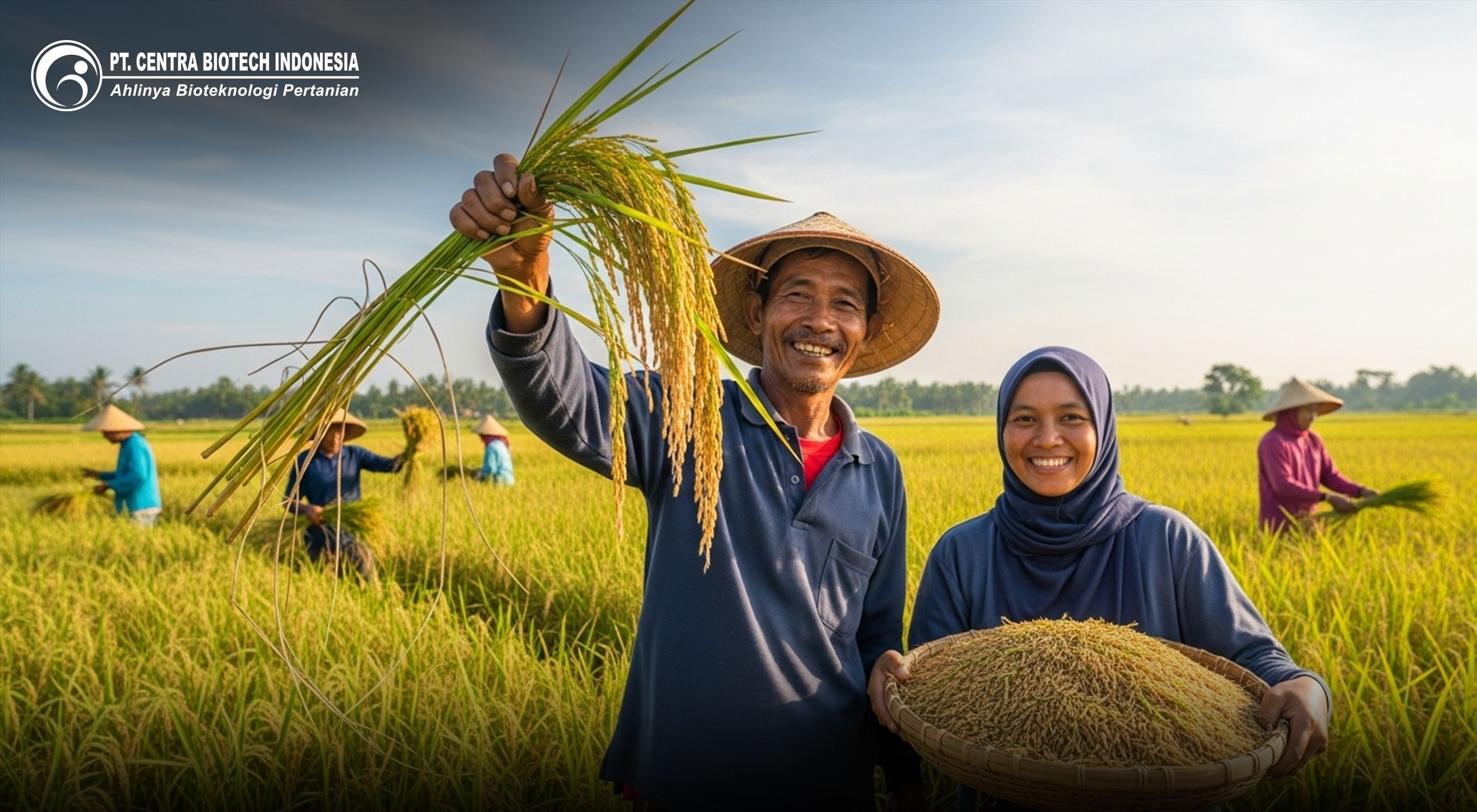 RAJABIO PT Centra Biotech Indonesia: Revolusi Organik untuk Padi Sawah, Panen Berlimpah dan Lahan Lestari