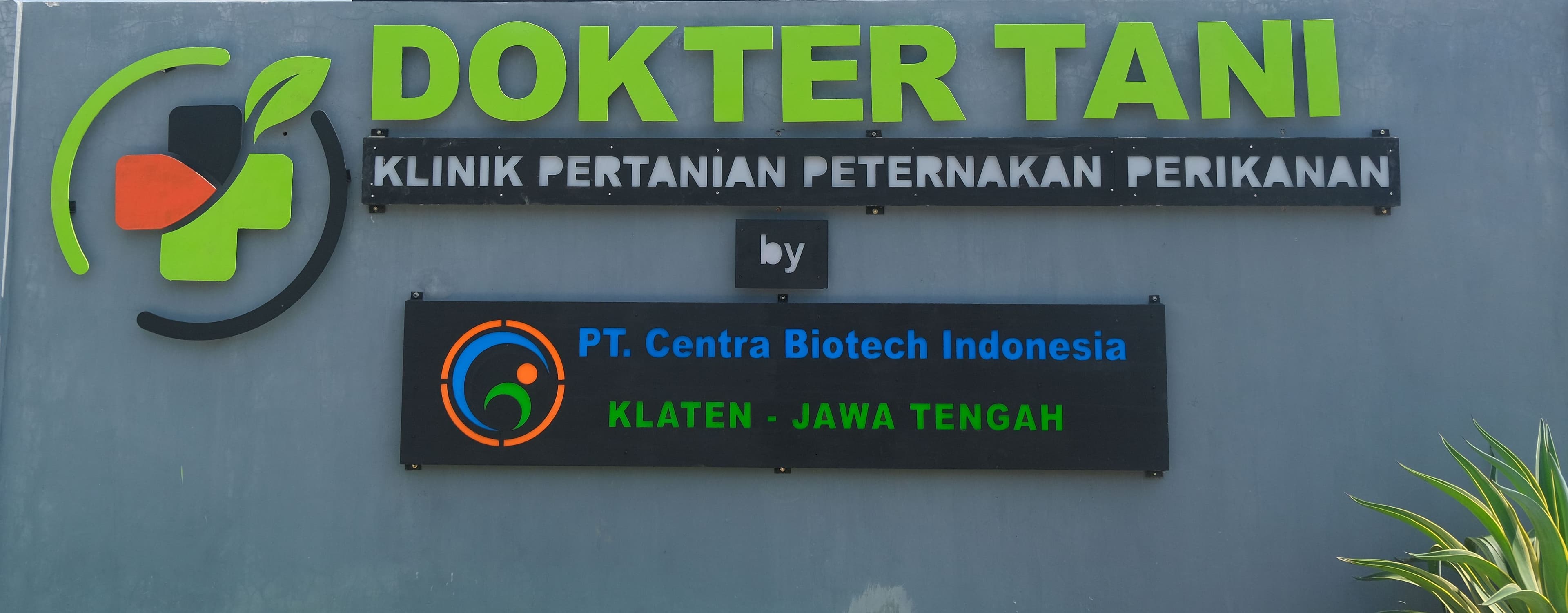 about us