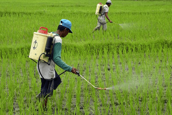 Agriculture Banner